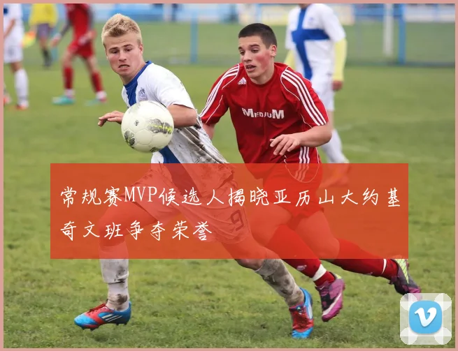 常规赛MVP候选人揭晓亚历山大约基奇文班争夺荣誉